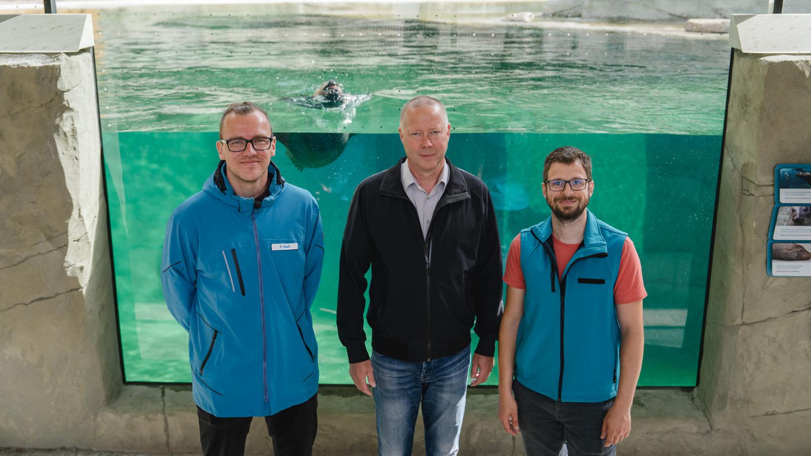 Strom für neue Robbenanlage